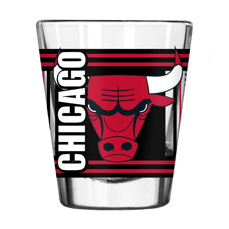 Team cups for summer campsChicago Bulls 2oz Hero Shot Glass